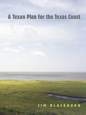 cover image of A Texan Plan for the Texas Coast